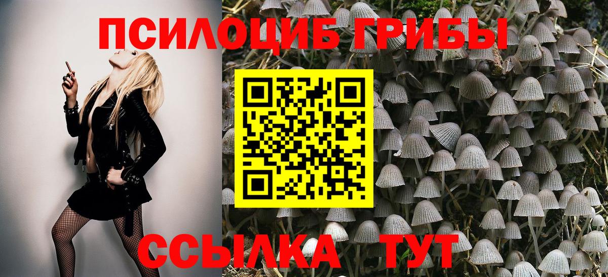 Кудымкар  Псилоцибиновые грибы Psilocybe  Вход с VPN 