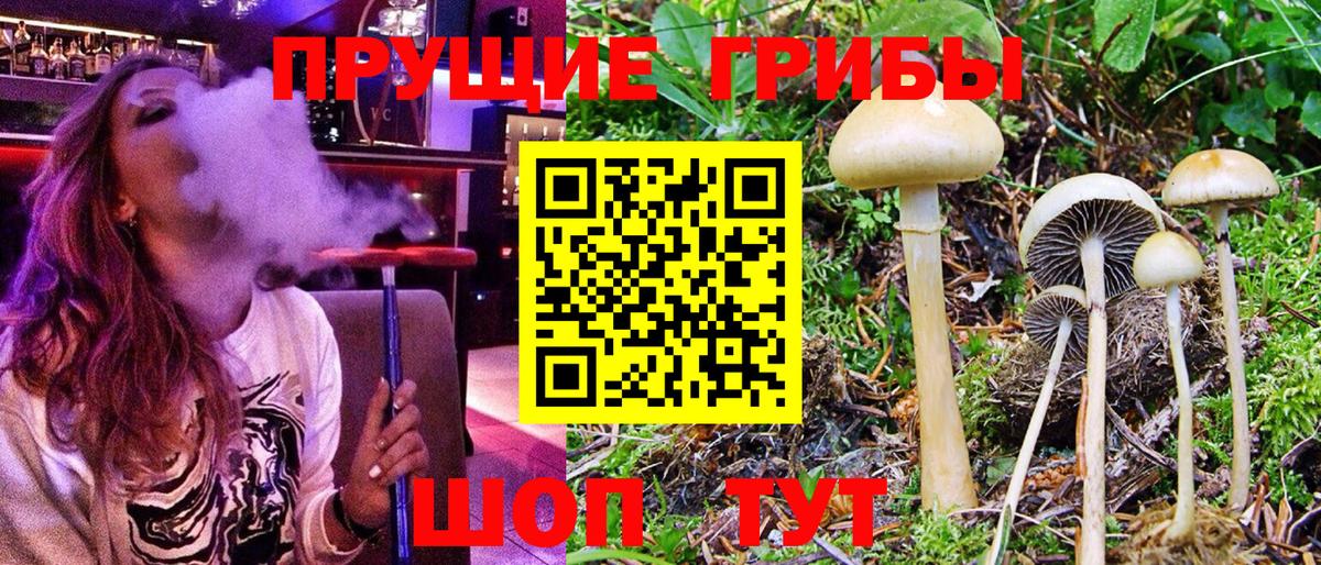 Галлюциногенные грибы ЛСД Кудымкар